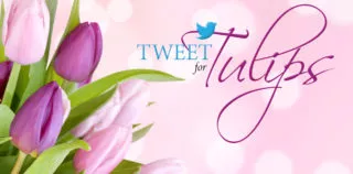 Tweet-for-Tulips-Social