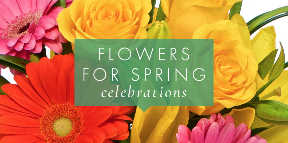 Spring Lifestyle Celebrations
