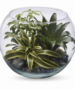 Spherical bowl filled with luscious living plants
