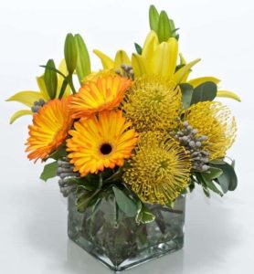 yellow pin cushion protea with yellow daisies and green accents in cube vase