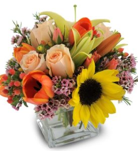 orange peach and yellow fall flowers in vase