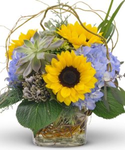 sunflowers with lavender hydrangea and succulents