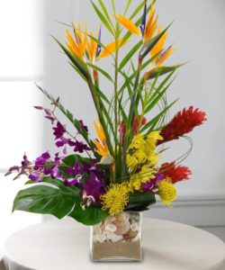 A Stylish Design Of Birds of Paradise, Anthurium and Ginger Designed in Cubed Vase Filled With Sand And Sea Shells