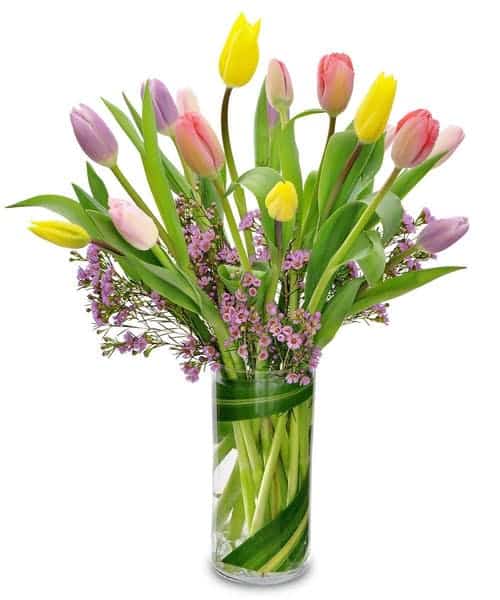 Capture the essence of spring with tulips, accented with wax flower. Sizes and colors may vary.