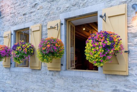 Hanging Baskets on Shutters