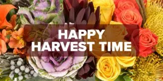 FM4-Bold—Happy-Harvest-Time—Blog